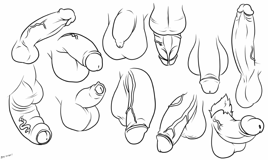 Clean line art illustration presenting anatomical drawings of penises, both cut and uncut, from various angles and perspectives.