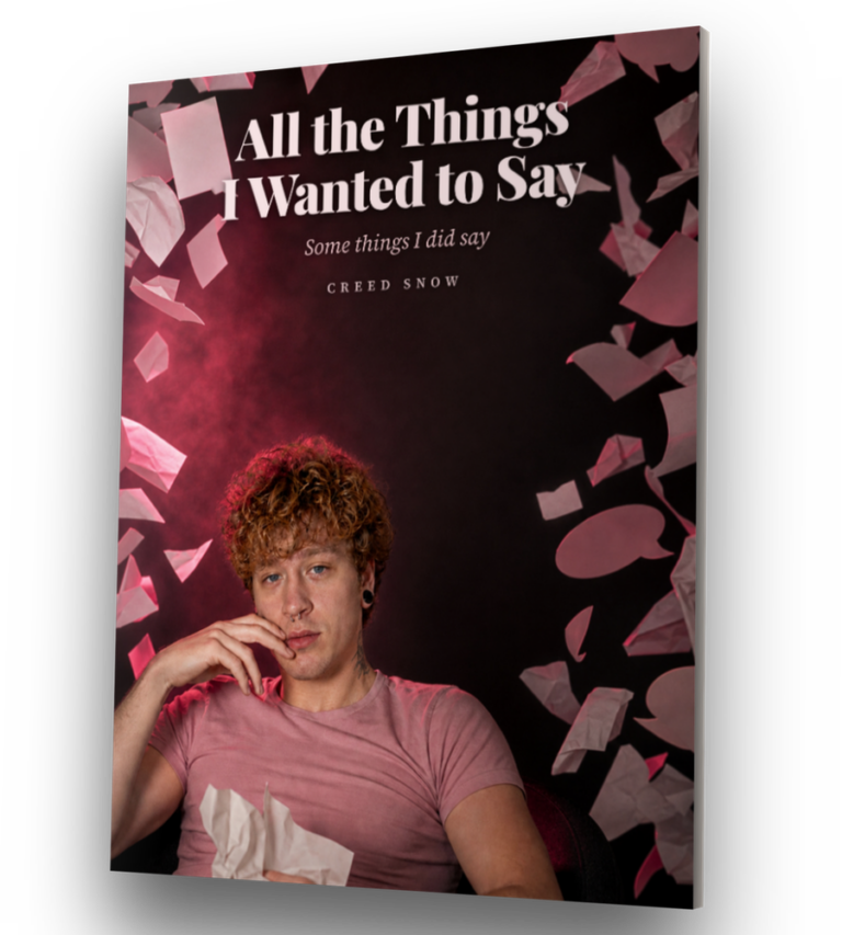 All the Things I Wanted to Say, hardcover, standing closed